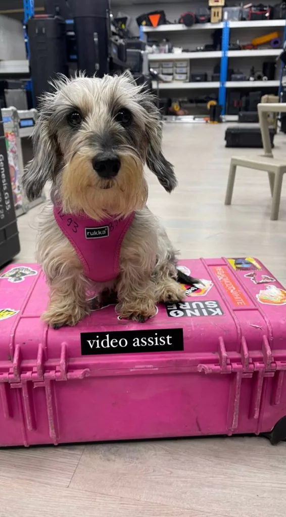 Топовые ренталы Москвы  весна 2026